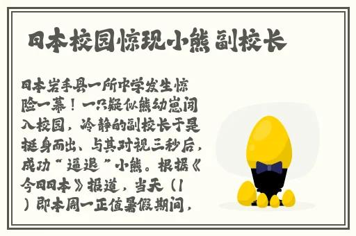小v视频